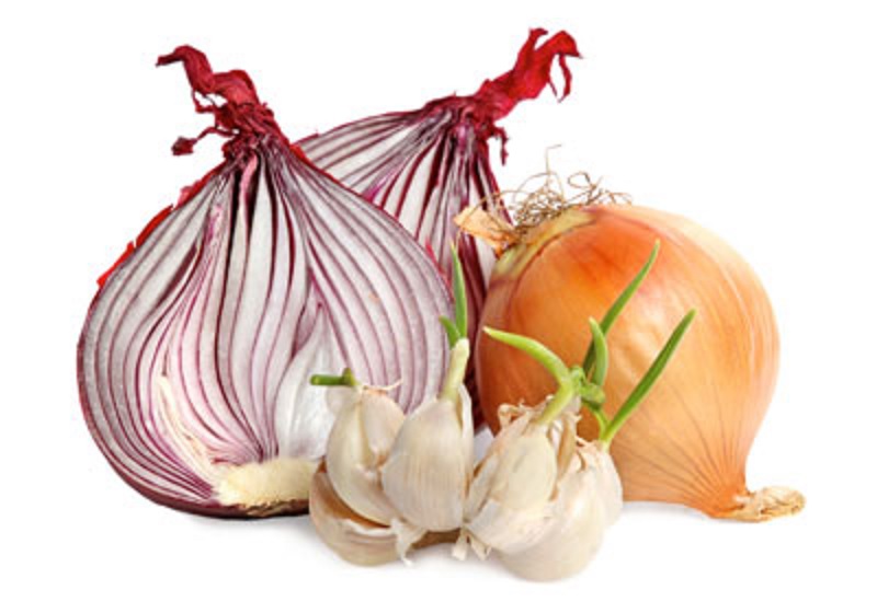 Konsumsi Sayuran Allium Mampu Kurangi Risiko Kanker Kolorektal