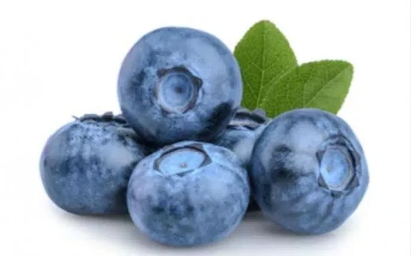Benarkah Blueberry Bikin Awet Muda?