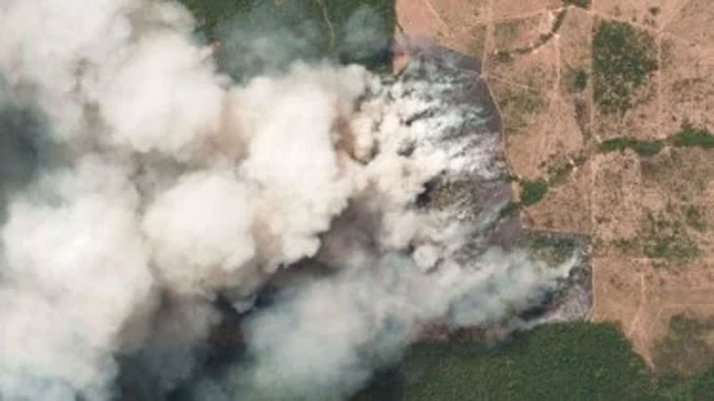 Gunung Semeru Kembali Terbakar