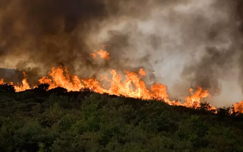 Lebih dari 1.476,86 Hektare Lahan dan Hutan di Babel Terbakar