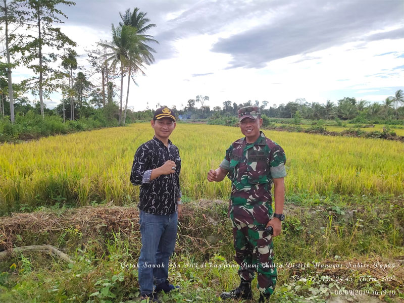 Cetak Sawah di Nabire, Kementan Pakai Strategi 6 Tepat