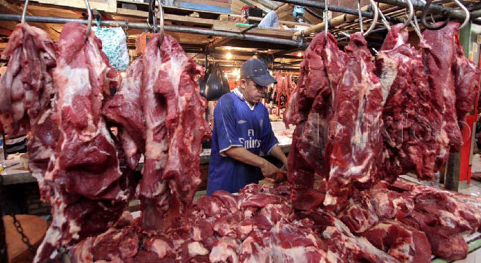 Pakar ICMI: Pencabutan Label Halal di Produk Hewan Bentuk Kemunduran Peradaban