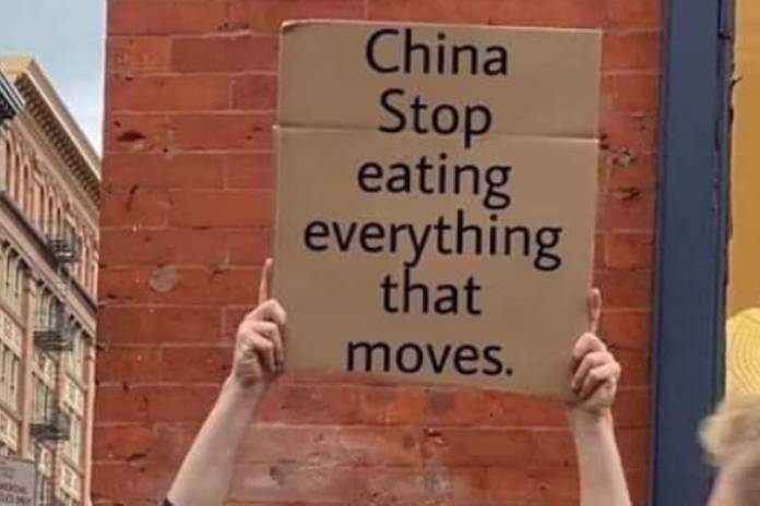 Corona Mengganas, Dewan Pakar ICMI; Stop! Impor Makanan dari Tiongkok