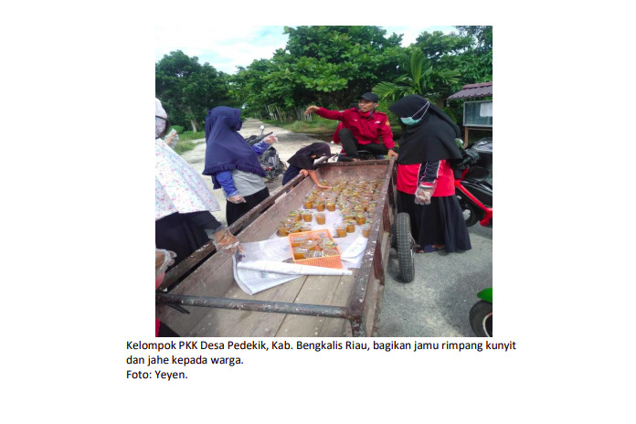 Cerita dari Lahan Gambut: Perempuan Desa Gambut Bersatu Membuat Masker dan Jamu untuk Cegah Covid-19