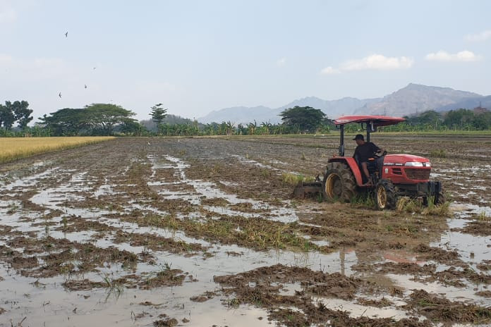 KUB Terbukti Tingkatkan Kesejahteraan Petani Sukoharjo