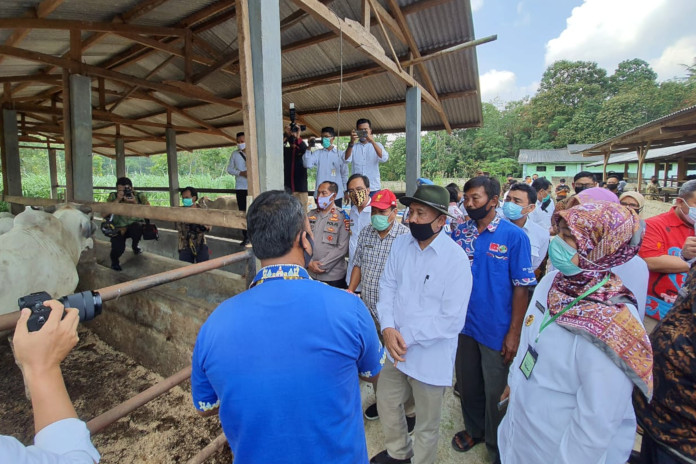LPDB KUMKM Berpotensi Gulirkan Dana Bergulir Untuk Koperasi Ternak di Lampung