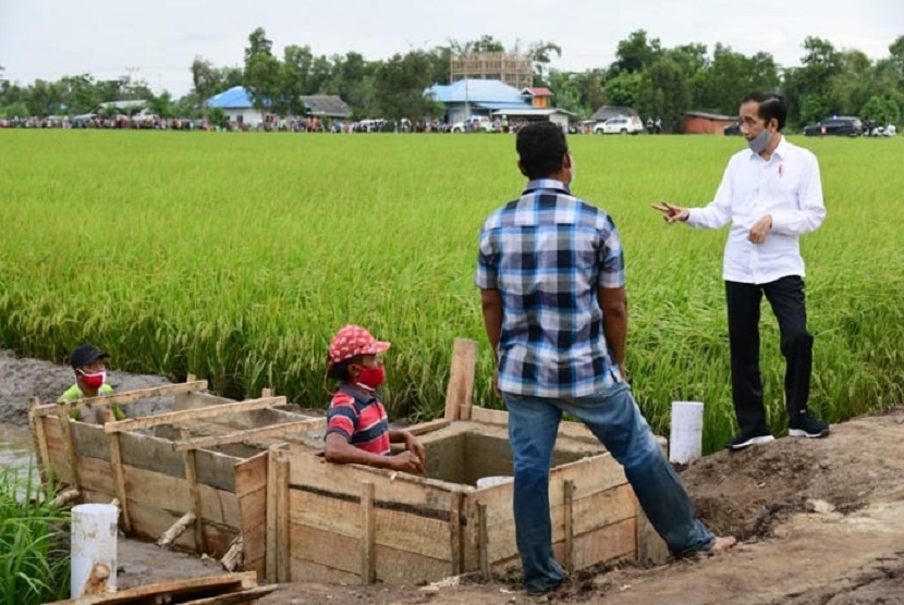 Food Estate, Mengubah Semak Belukar jadi Lahan Produktif