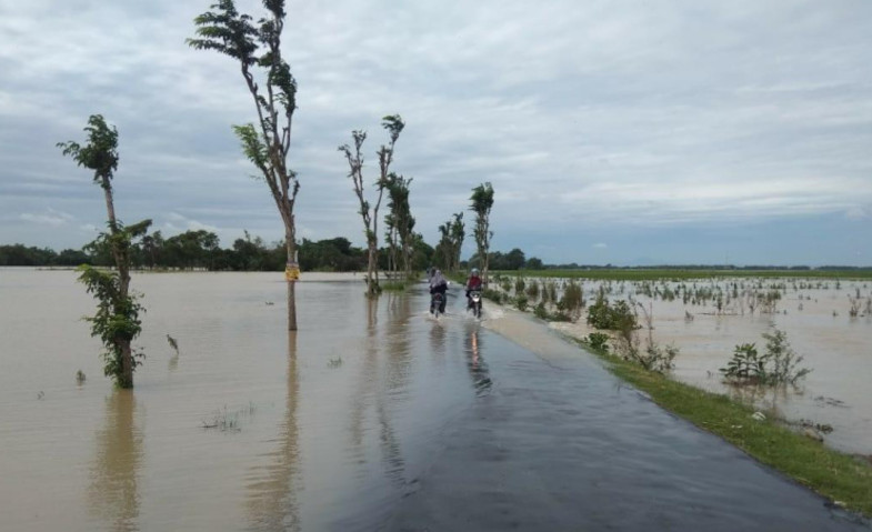 Lahan Terganggu Banjir, Kementan Ajak Petani Lampura Gunakan Asuransi