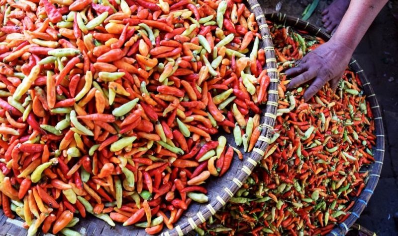 Ibu-ibu Menjerit, Harga Cabai Rawit di Nunukan Tembus Rp 100.000/Kg