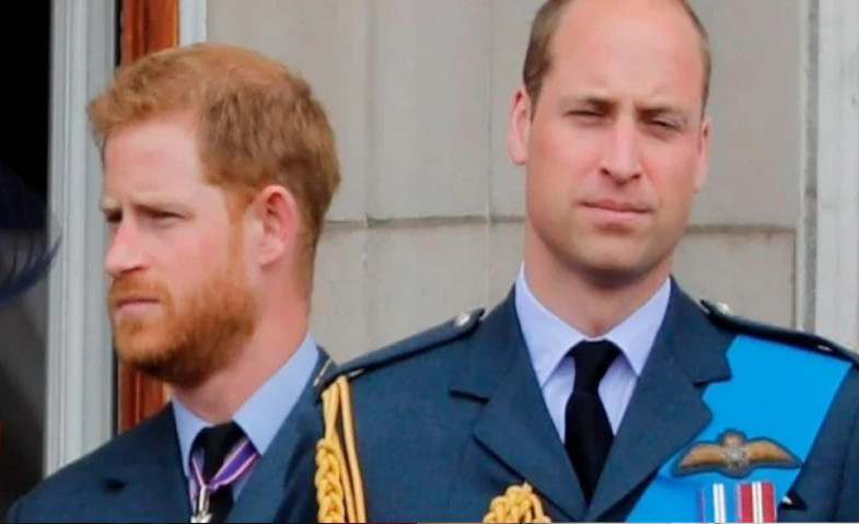 Gegara Uang, William, Harry dan Pangeran Charles Gak Akur