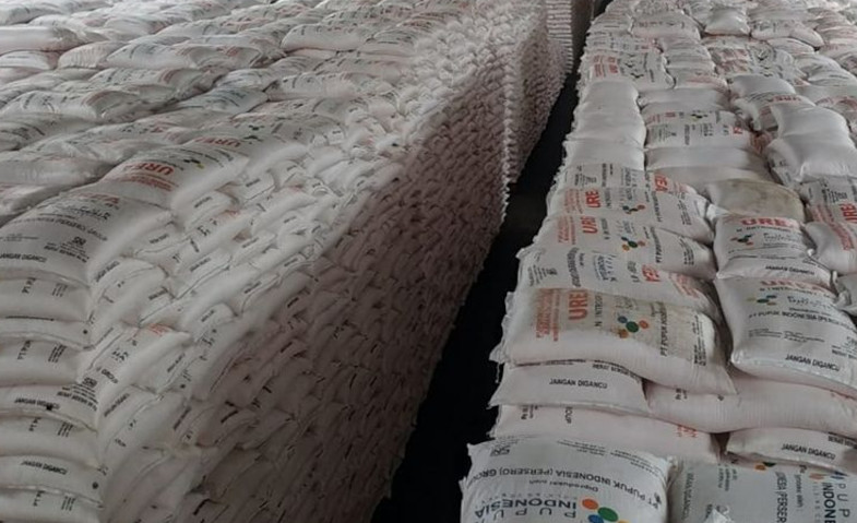 Pupuk Subsidi di Solok Aman, Stok Capai Dua Kali Lipat