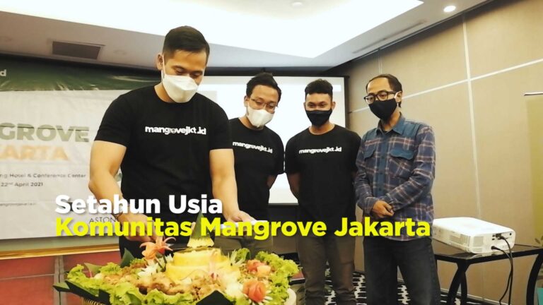 Setahun Usia Komunitas Mangrove Jakarta