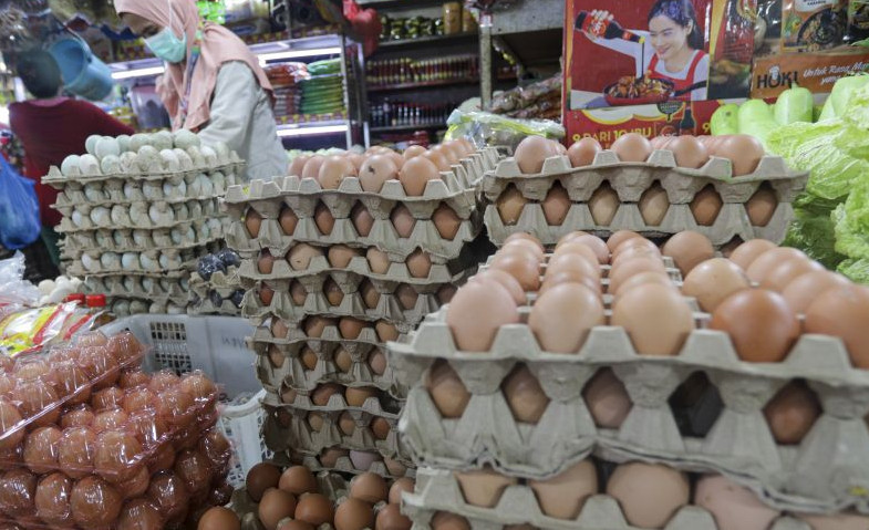 Harga Telur dan Ayam Meroket Dianggap Hal Wajar karena Siklus Tahunan