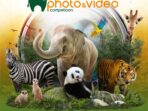 Lomba Foto Satwa Taman Safari Indonesia Kembali Digelar