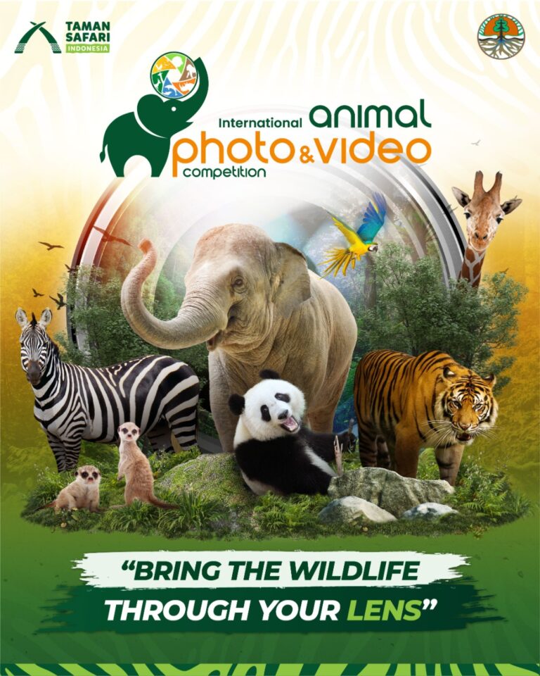 Lomba Foto Satwa Taman Safari Indonesia Kembali Digelar