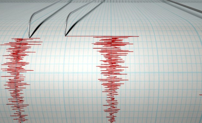 Gempa Lombok Barat Berkekuatan 4,4 Magnitudo Getarannya Terasa hingga Denpasar