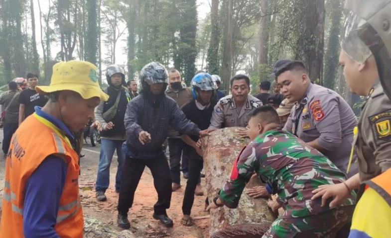 Pemotor di Sukabumi Tertimpa Pohon Tumbang
