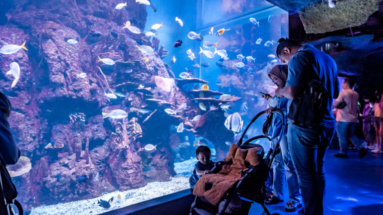 Jakarta Aquarium & Safari bersama Yayasan Konservasi Alam Nusantara kampayekan konservasi laut. (Alidrian Fahwi/Wartapenanews.com)