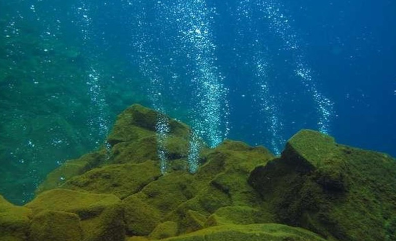 Penampakan Gunung Bawah Laut Ditemukan di Perairan Pacitan