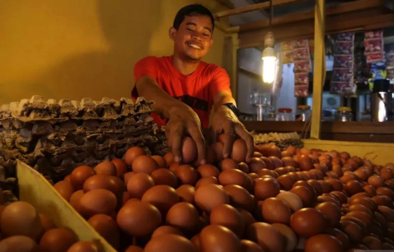 DPR Minta Pemerintah Segera Temukan Solusi Nyata Atasi Kenaikan Harga Daging Ayam & Telur