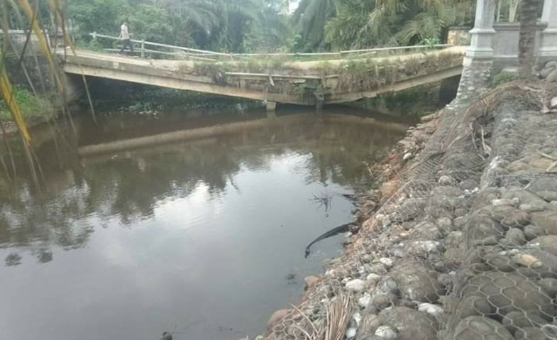 Jembatan di Desa Ipuh Bangun Jaya Terancam Ambruk