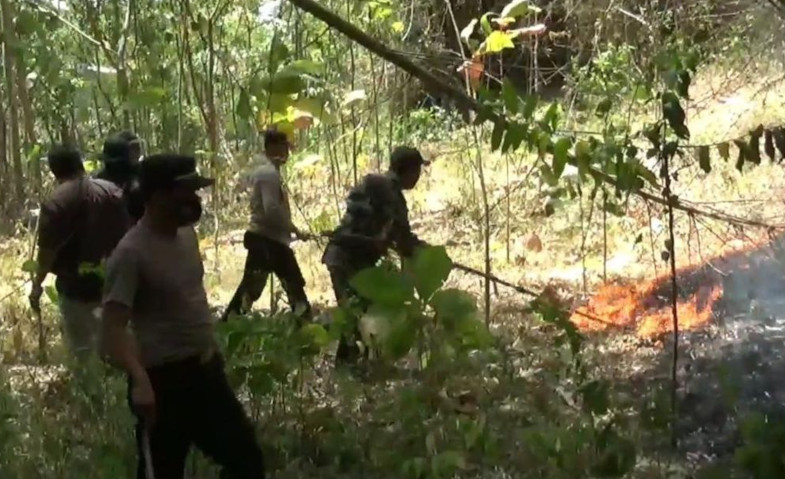 Imbas Kebakaran Hutan, Jalur Pendakian Gunung Budheg Ditutup
