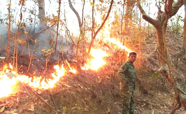 Kebakaran Melanda Hutan Pinus Malino di Gowa