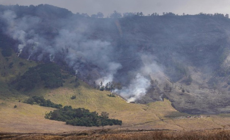 Imbas Kebakaran Hutan, Wisata Gunung Bromo Ditutup Total