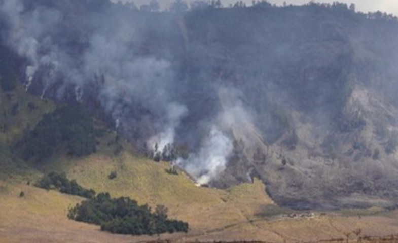 Hingga Kini Kebakaran di Bukit Teletubbies Belum Padam