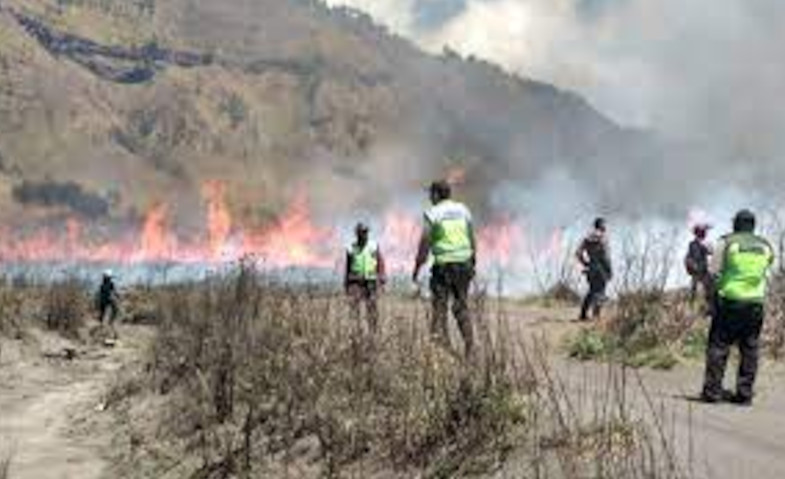 Penyebab 50 Hektar Bukit Teletubbies di Bromo Terbakar
