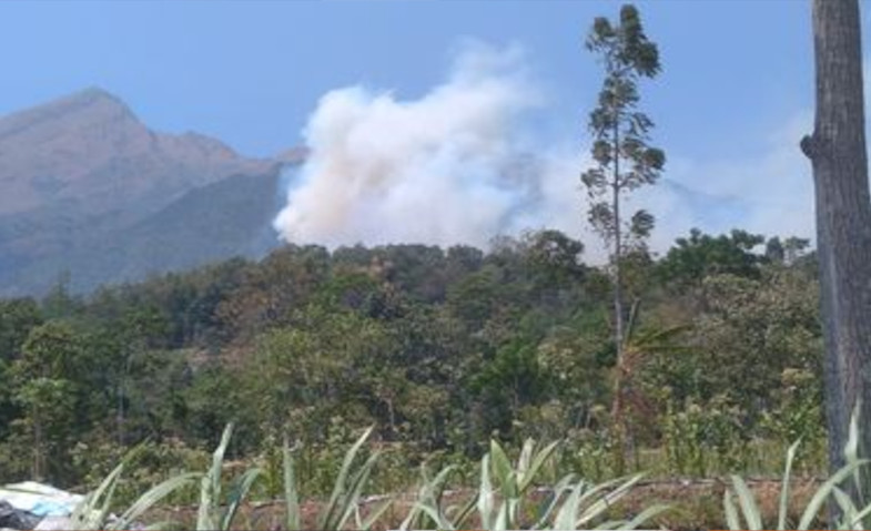 16.000 Meter Pipa Air Rusak akibat Kebakaran di Gunung Merbabu