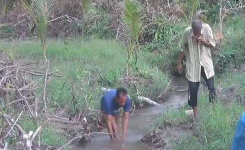 Ratusan Ikan di Jambi Mati, Diduga Sungai Tercemar Limbah